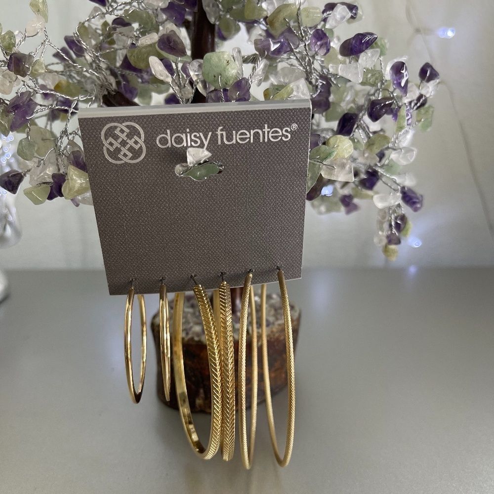 3 Set Daisy Fuentes Earrings